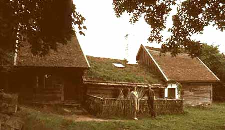 vippe_tp.jpg (24547 bytes)